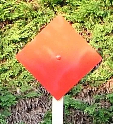 IPAS 12" - Red Air Pistol Target