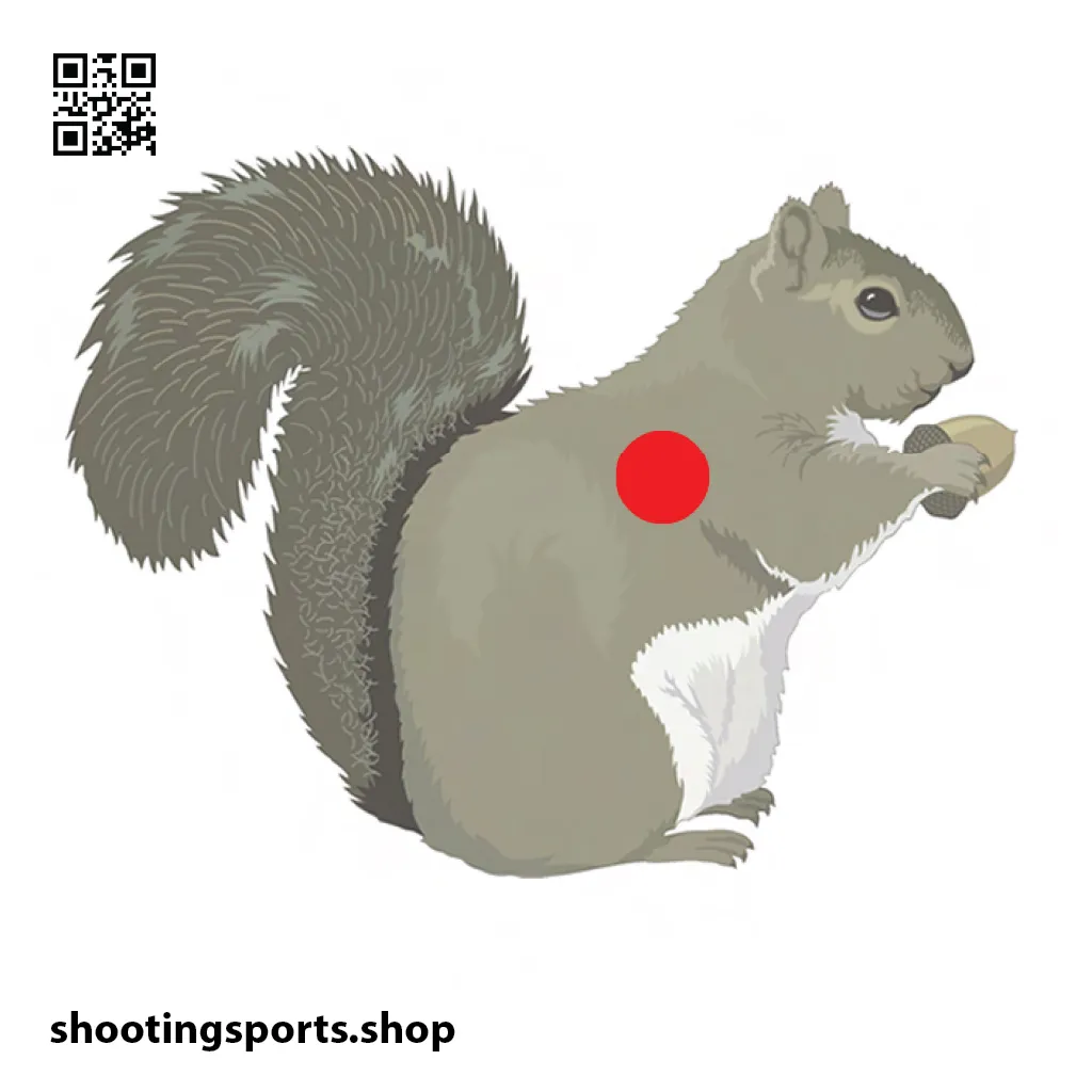 [SSSTGT0020D] Squirrel Targets - Paper A4 Packs (1)
